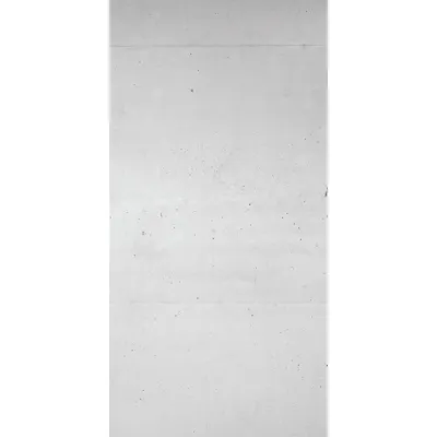 Duschrückwand ALU-Verbundplatte Dekor: Sichtbeton